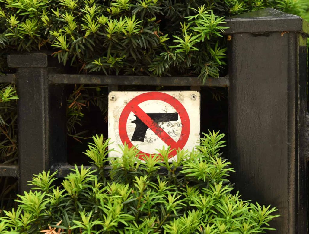 Ban Guns In A Rental Property